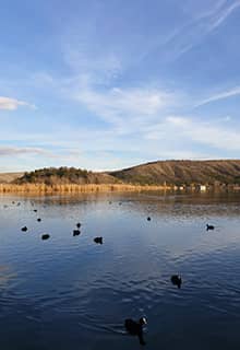 Le Lac Eymir, Ankara