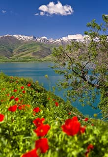 Le Lac Van