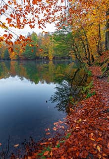 Le Lac Yedigöller, Bolu