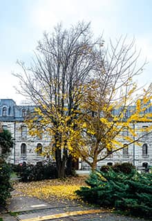 Boğaziçi University