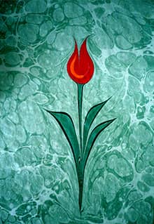 Турецкое искусство эбру