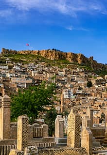 Château de Mardin