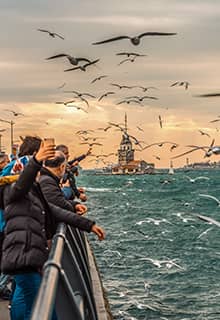 Gaviotas Sobre İstanbul