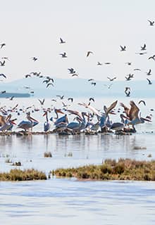 Parque Nacional del Paraíso de las Aves