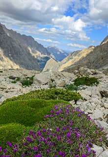 Гора Аладаглар/Aladağlar, Нигде
