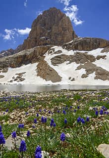 Гора Аладаглар/Aladağlar, Нигде