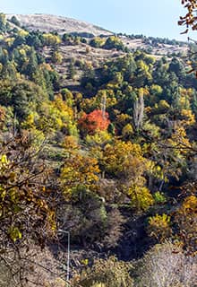 Mount Bozdağ İzmir