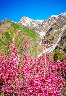 Гора Джило/Cilo, Хаккари