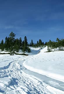 Гора Ильгаз/İlgaz, Кастамону