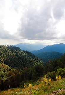 Гора Кёроглу/Köroğlu, Болу