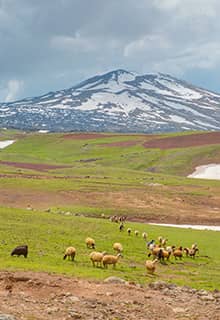 Гора Тендюрек/Tendürek, Агры