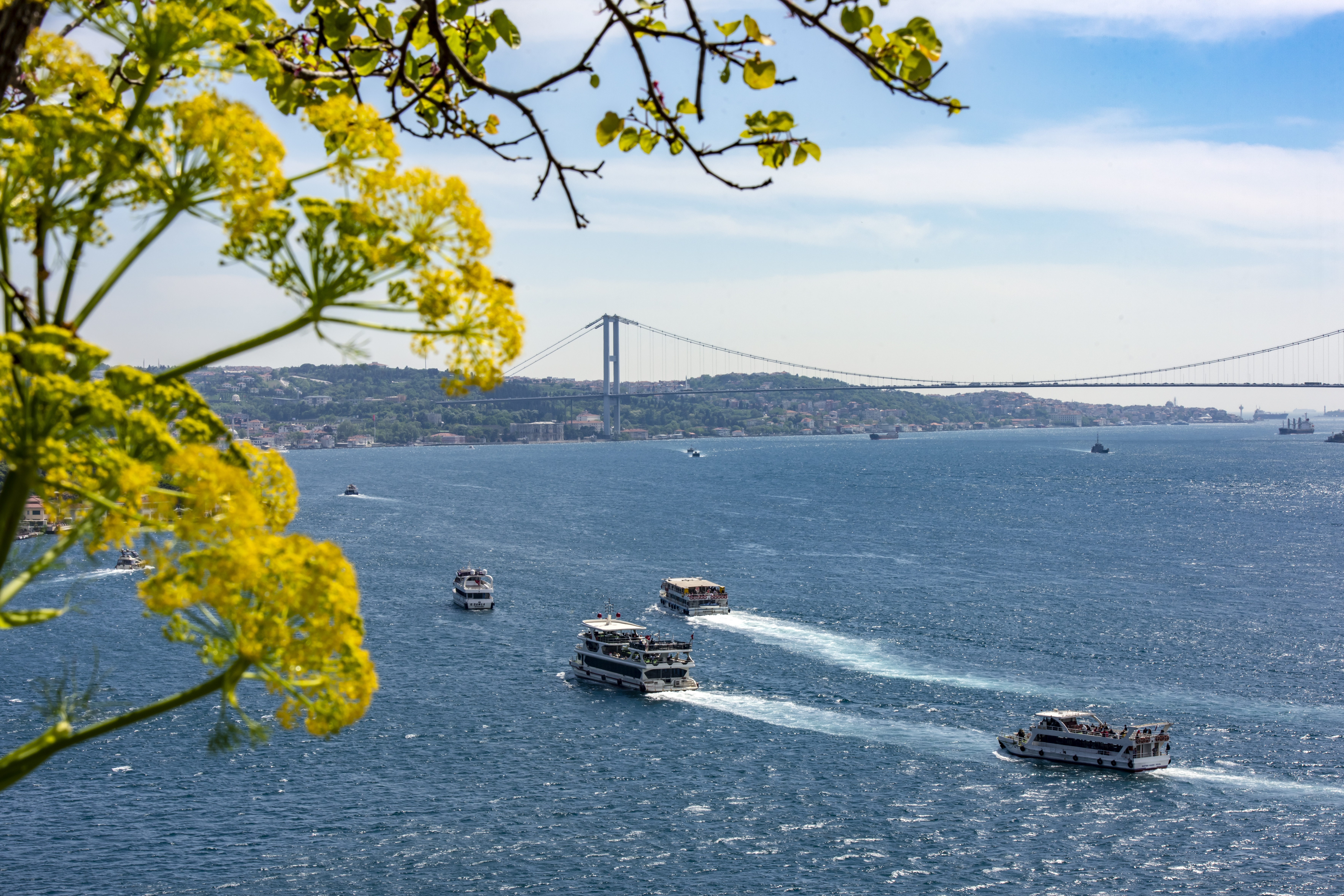 istanbul-bosphorus-boat-tour-3.jpg
