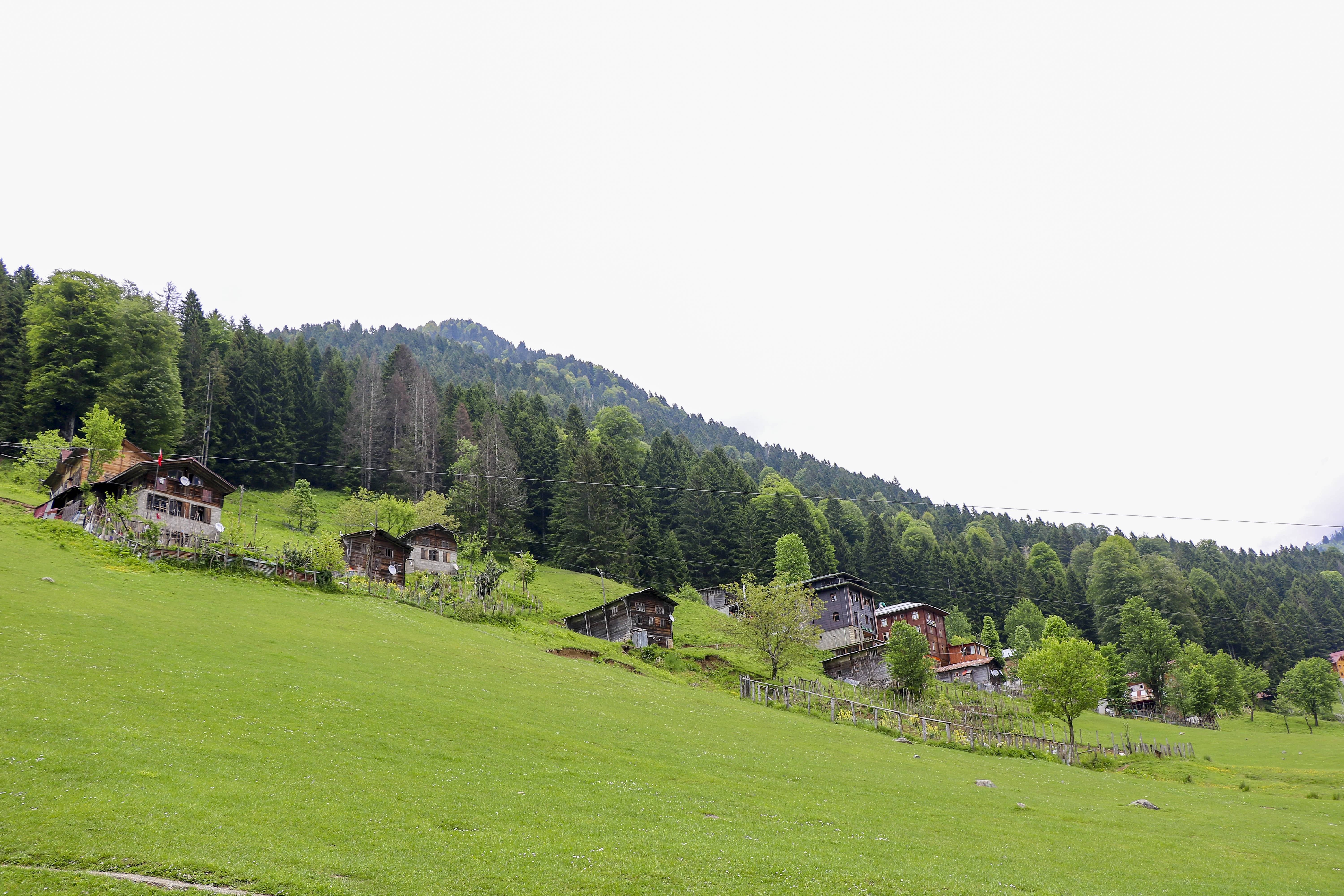 1-rize-ayder-plateau-1-1.jpeg