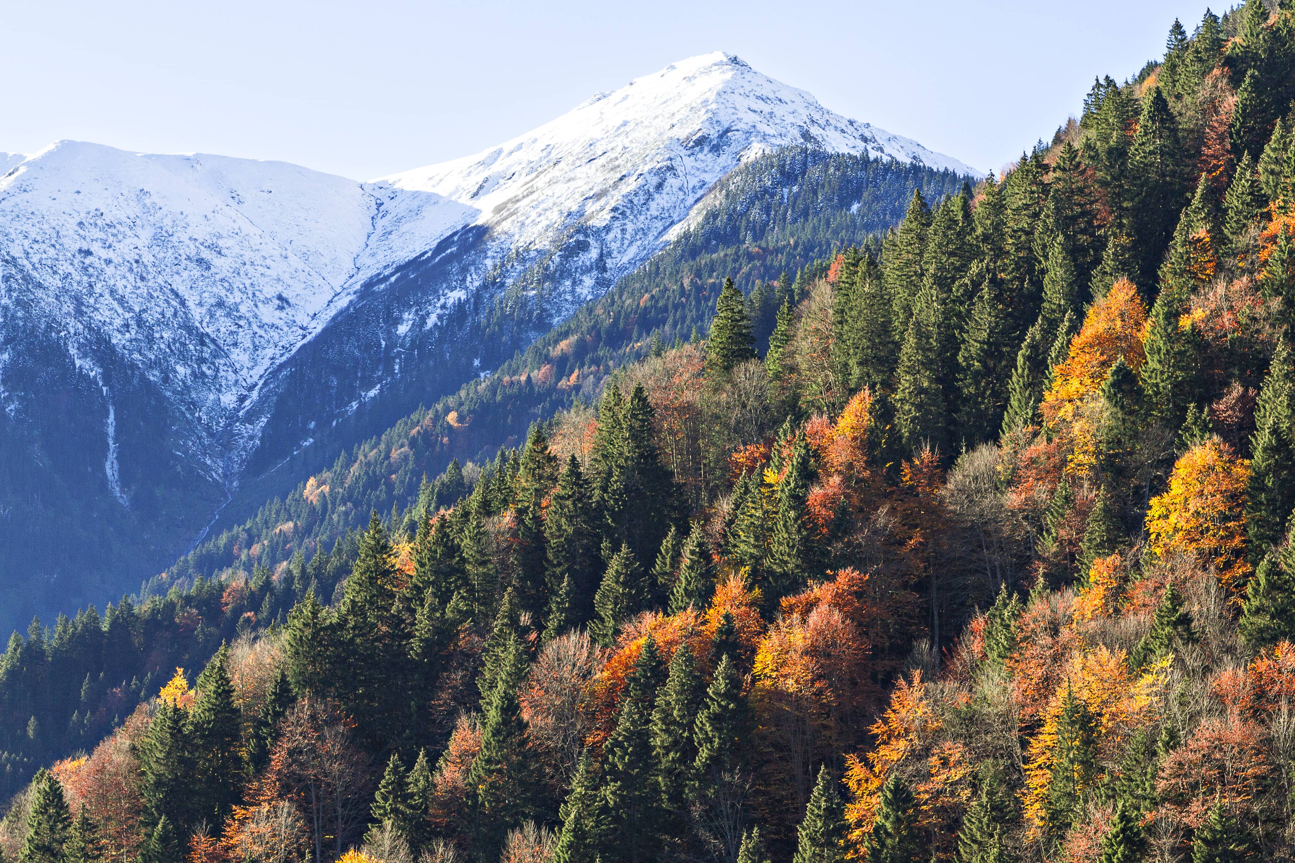 kackar-mountain-1-1.jpeg