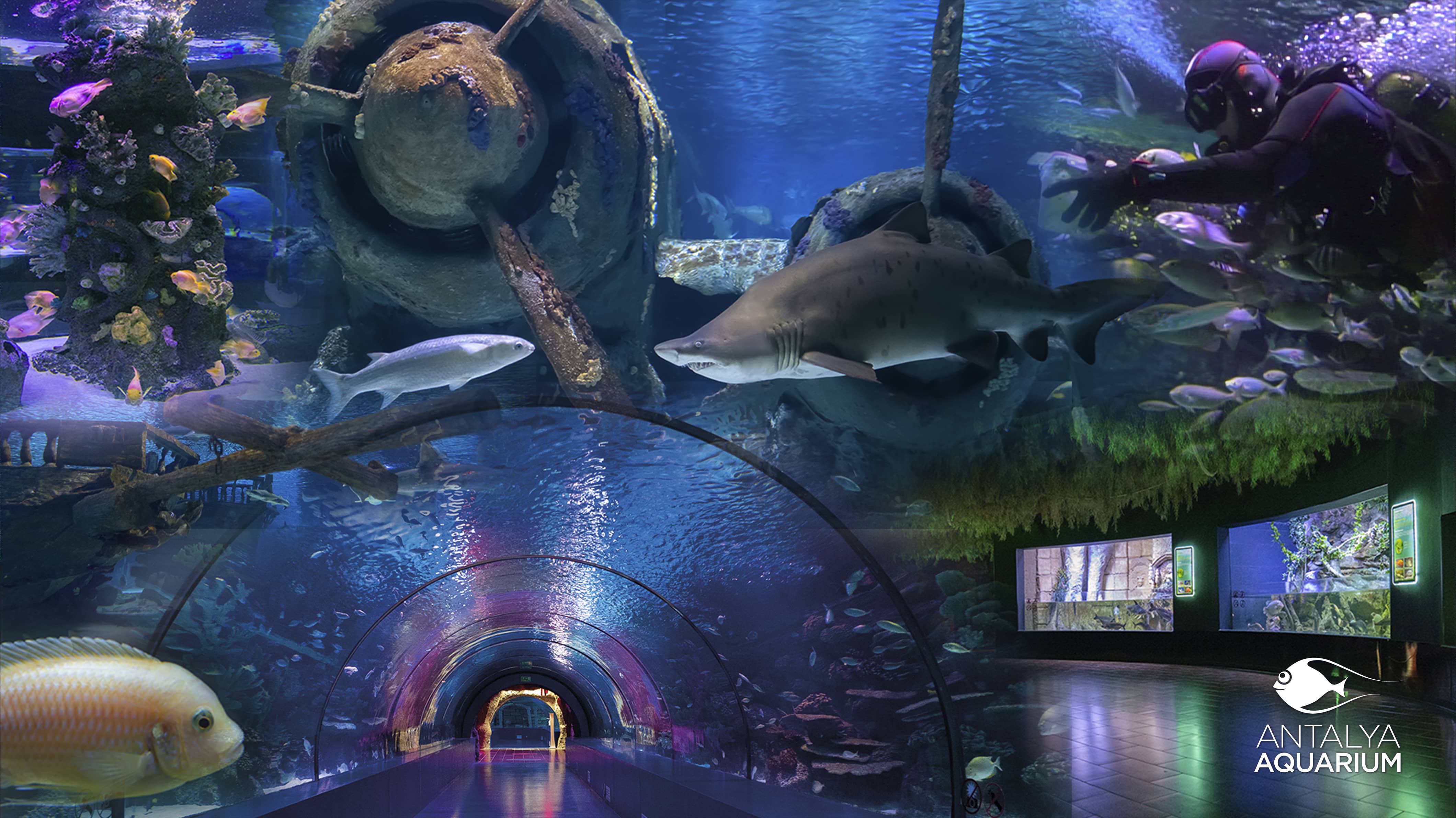 antalya-aquarium-2.jpg