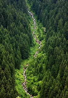 Altındere Vadisi Milli Parkı Trabzon