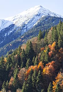 Kaçkar Dağı Milli Parkı Rize