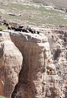 Botan Vadisi Milli Parkı Siirt