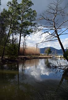 Günnücek Milli Parkı Marmaris Muğla
