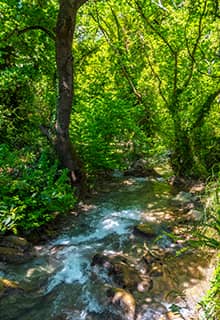 Marmaris Milli Parkı