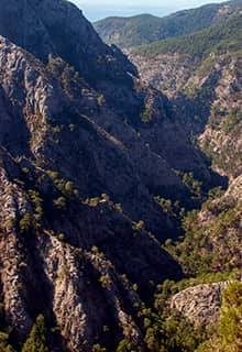 Kaz Dağları Milli Parkı Balıkesir - Çanakkale