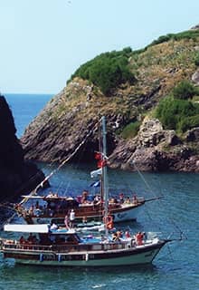 Isla Hoynat y santuario de aves