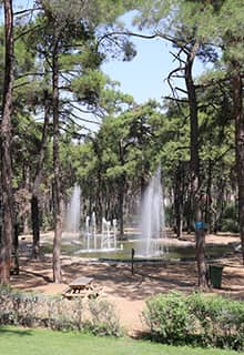 Parque Çamlık