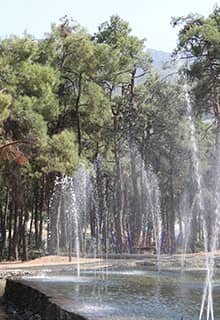 Çamlık Park