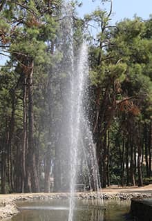 Çamlık Park