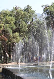 Çamlık Park