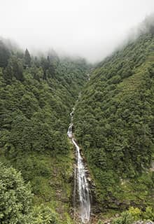 Ayder Plateau Çamlıhemşin Rize