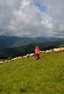Bektaş Plateau Giresun