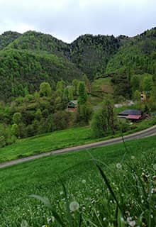 Hıdırnebi Plateau Trabzon
