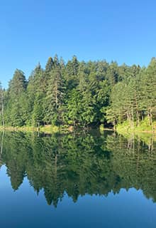 Bozcaarmut-See Bilecik