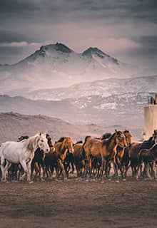 Mount Erciyes Kayseri