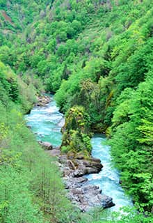 Río Çoruh, Artvin