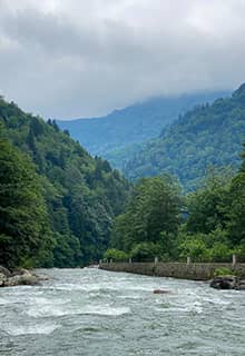 Arroyo Fırtına, Rize