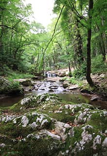 Çifte Kaynaklar, Kırklareli