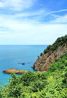 Фатса/Fatsa, Орду