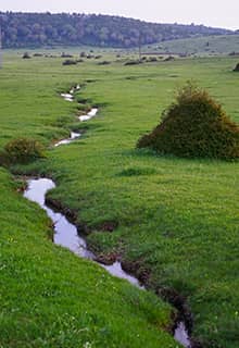 Karagöl-Hochebene