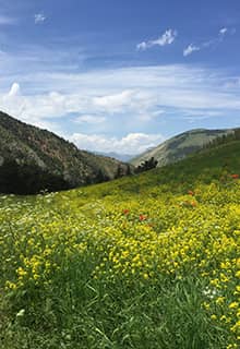 Uzundere, Erzurum