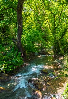 Cascada de Turgut, Marmaris